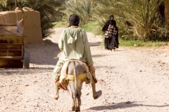 Morocco tours