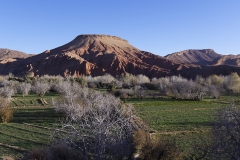 Morocco Tours