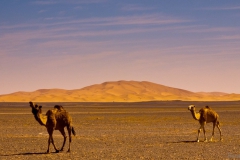 Morocco desert tours